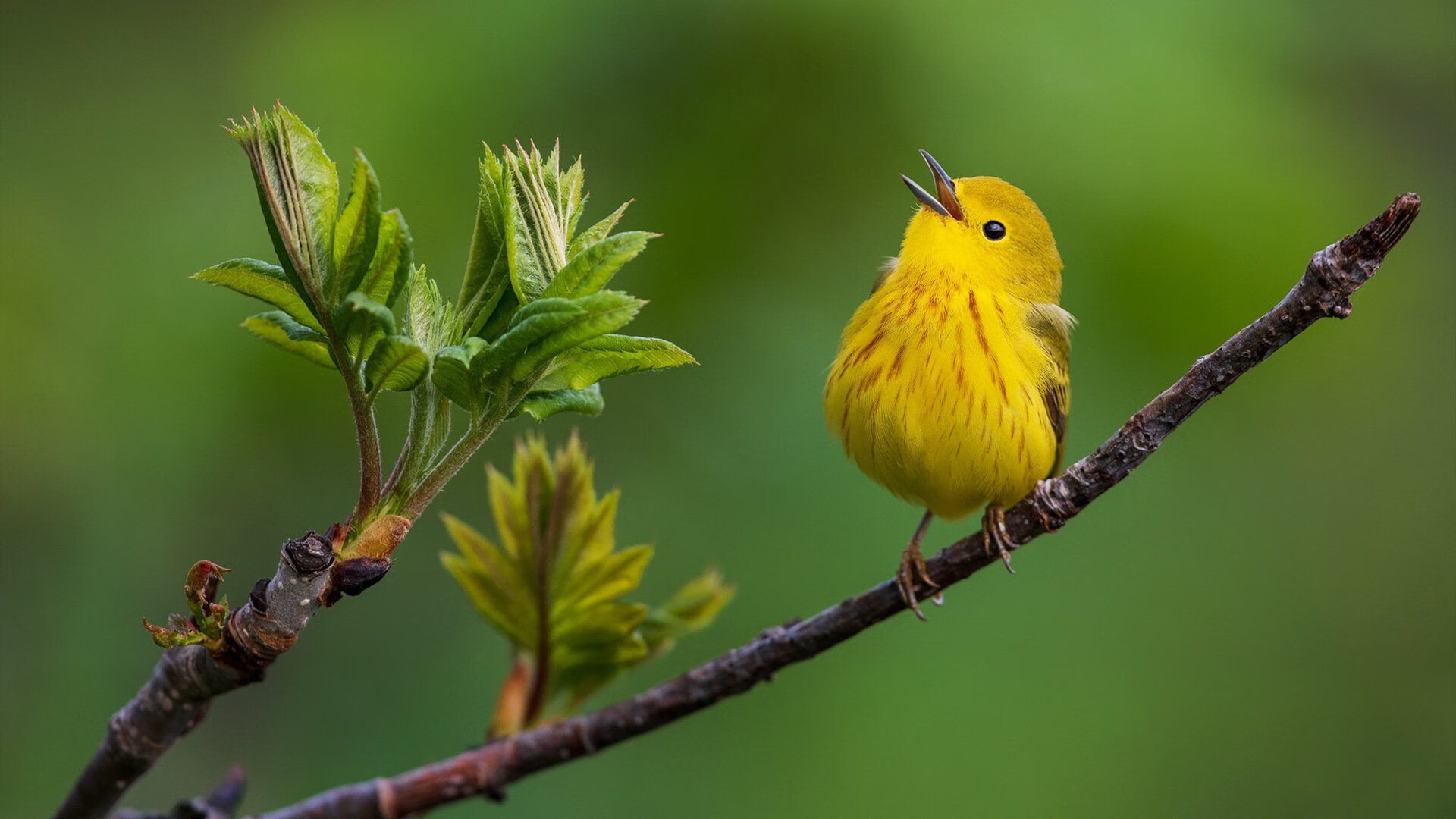 全国青少年“篮球文化创意展”在南京盛大举行，激发青少年文化自信