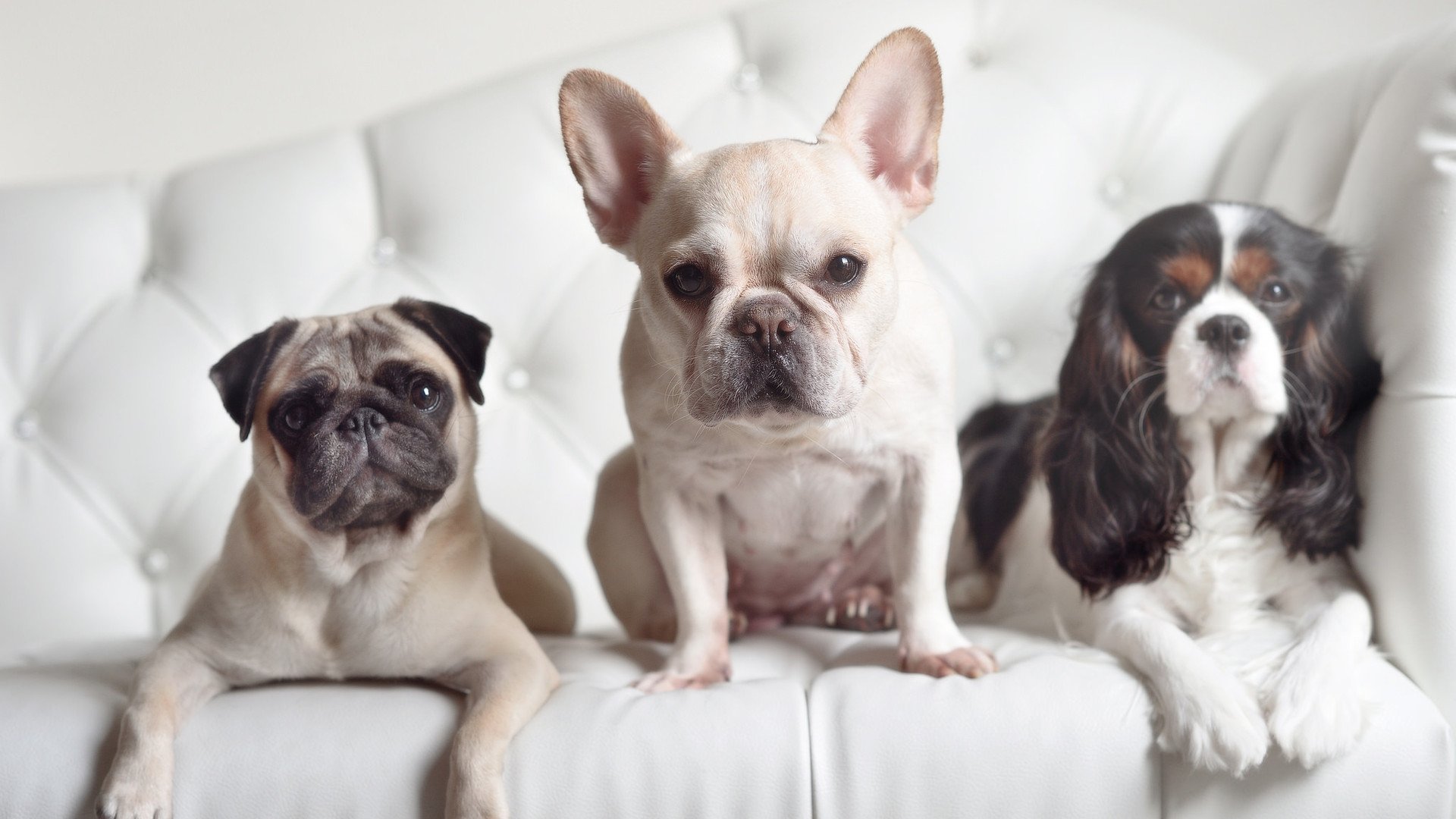 九游娱乐网页版-史上最“火爆”的快攻最高纪录近期被打破，快攻中最快的形式