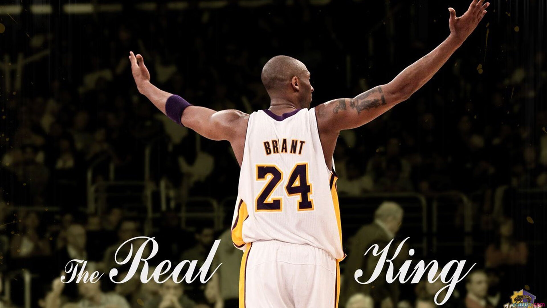 普费夫决赛表现超出预期赢得掌声,普夫实力